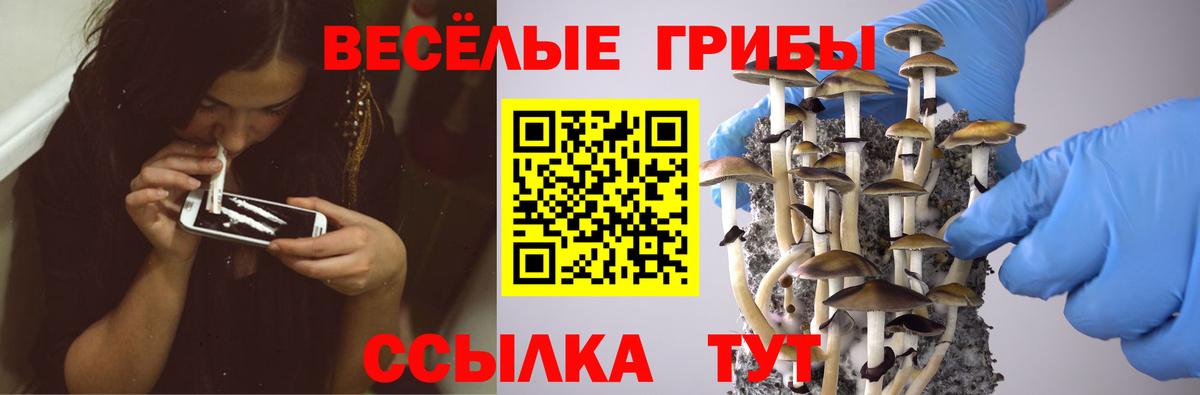 Псилоцибиновые грибы прущие грибы Камышин