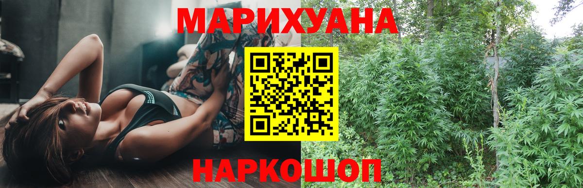 Каннабис план Камышин